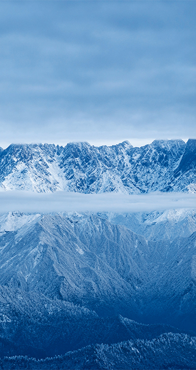 关于Z6·尊龙凯时